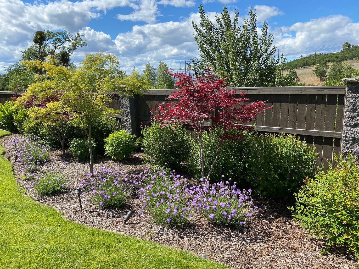 Established planting beds with colorful shrubs and groundcover