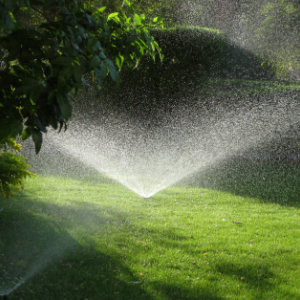 Irrigation Services